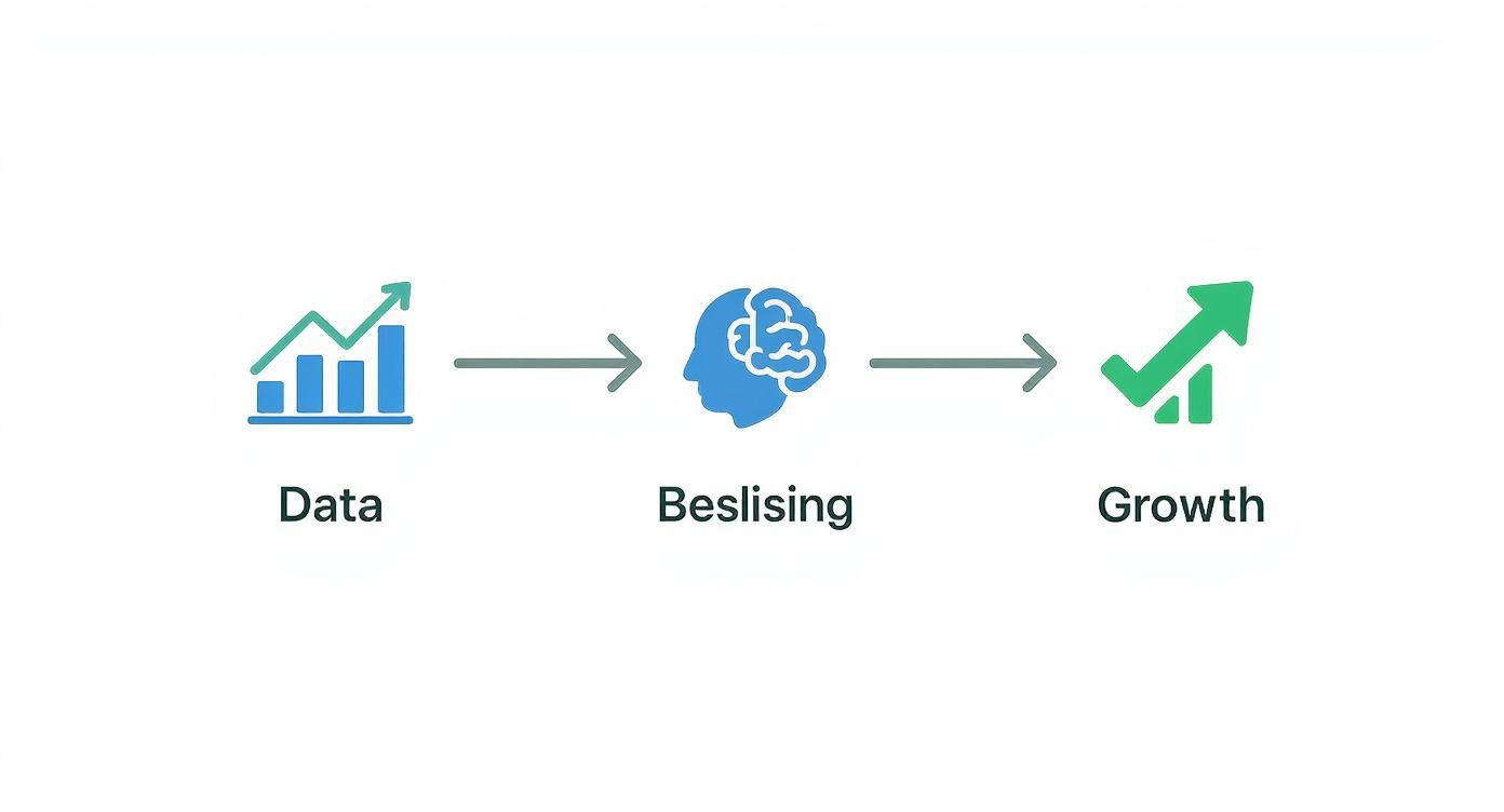 Een infographic die het proces van data naar besluitvorming en groei illustreert, met bijbehorende iconen.
