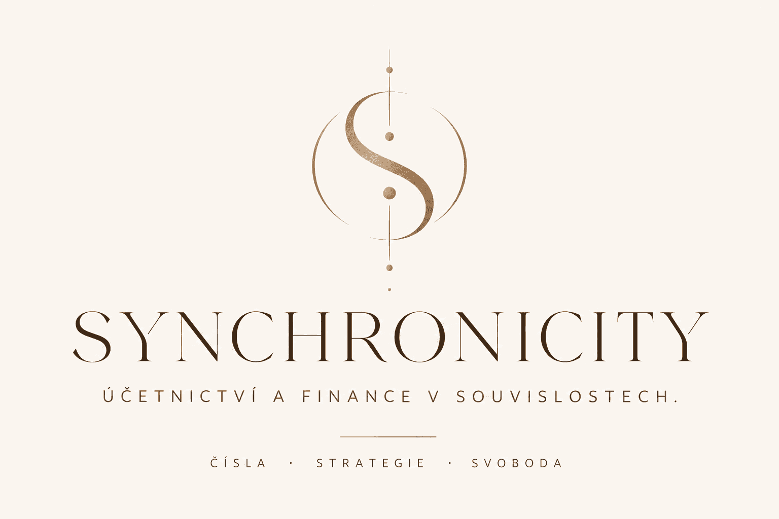 SYNCHRONICITY — Účetnictví a finance v souvislostech