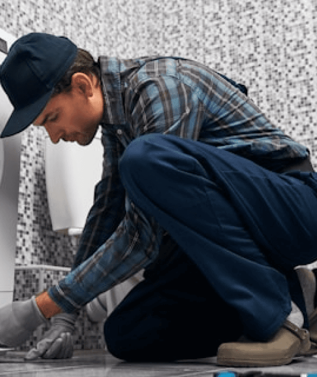 Working image