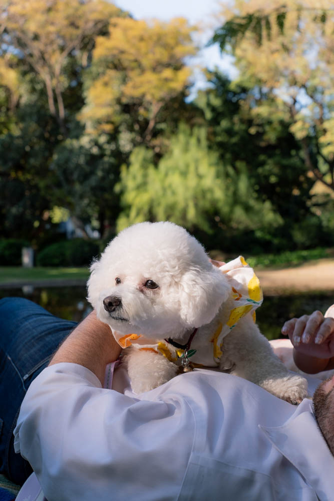 Harold Boas Garden Perth