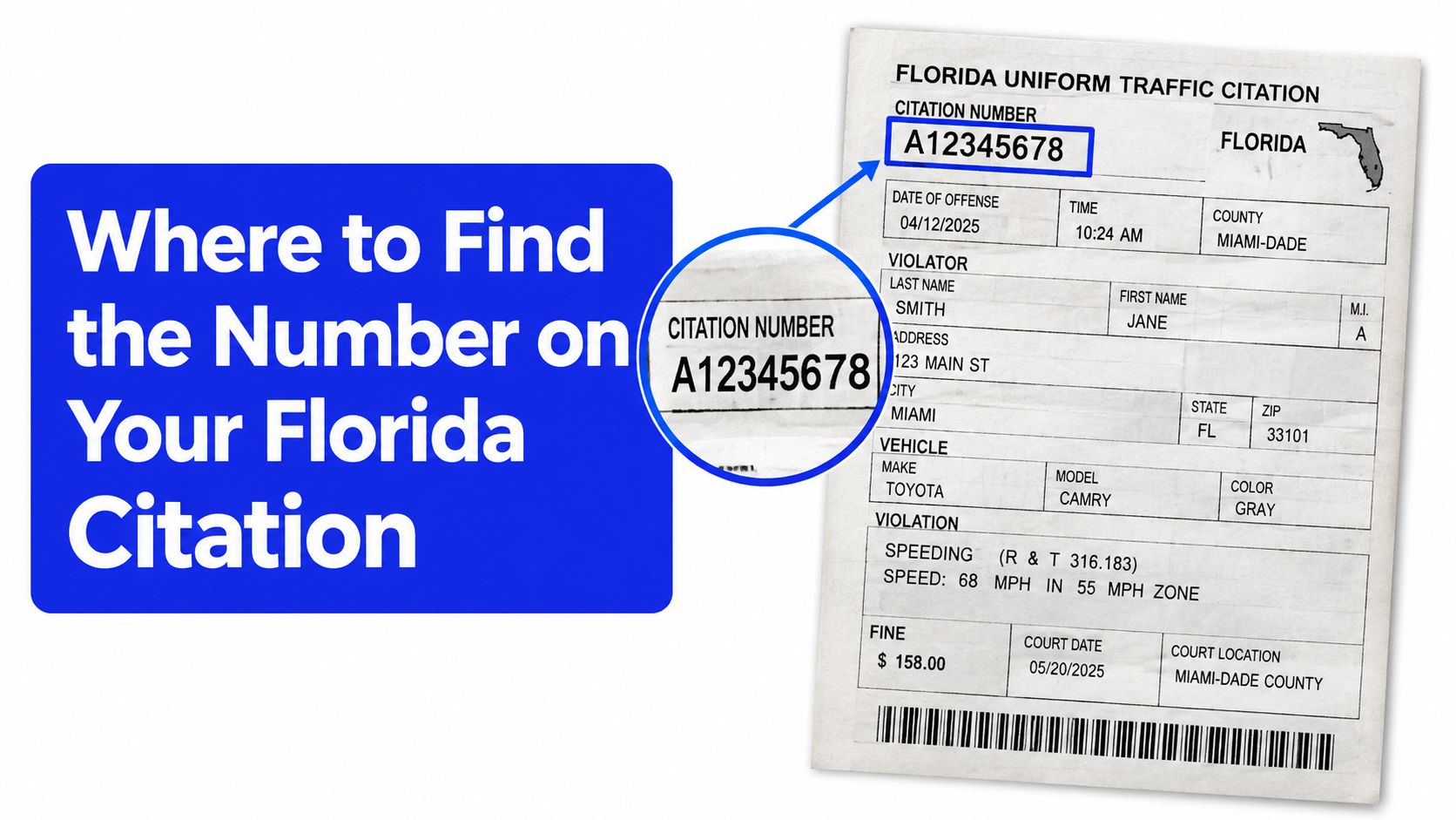 Screenshot from https://example.com/images/florida-uniform-traffic-citation-sample.png