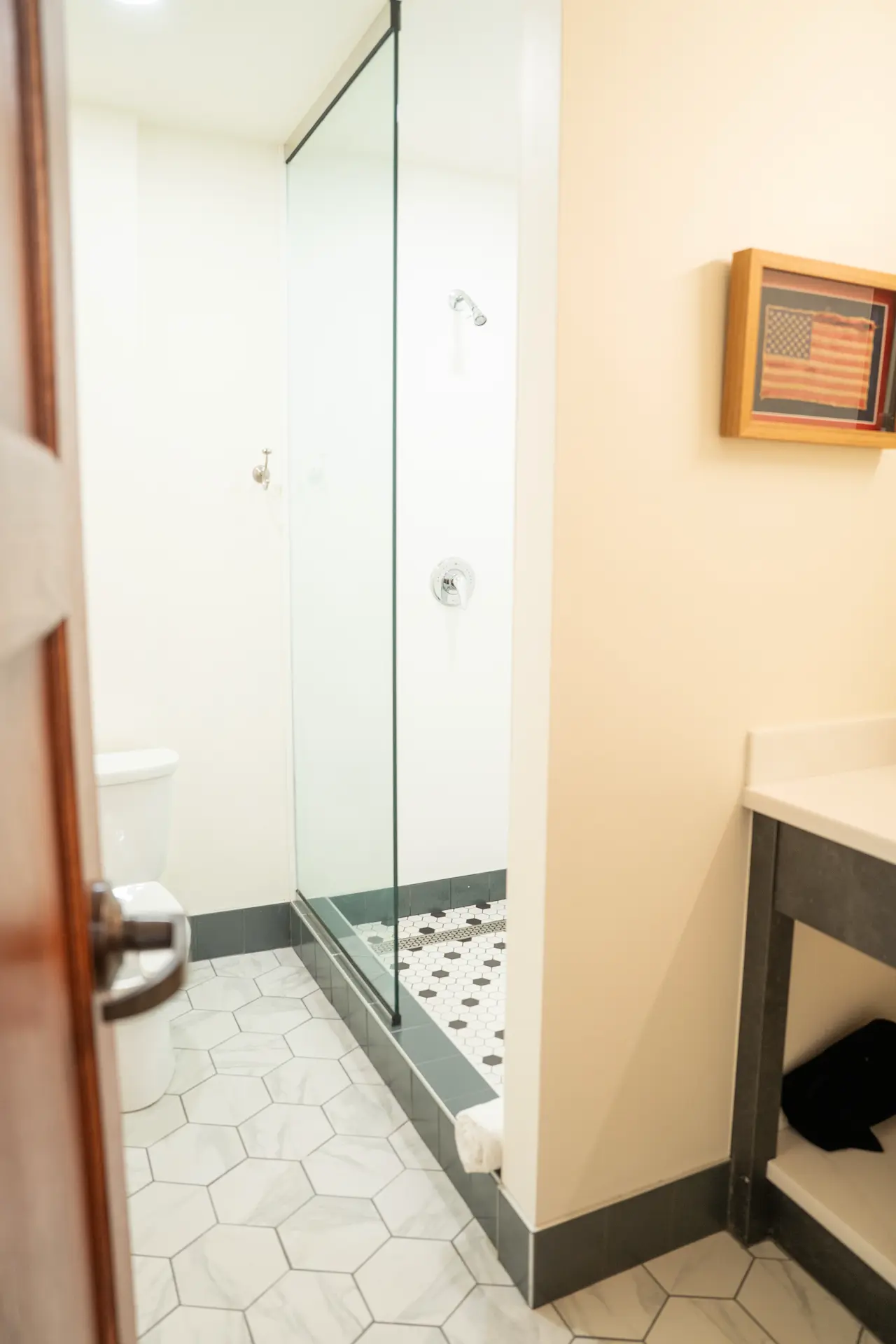 Walk-in shower with glass panel