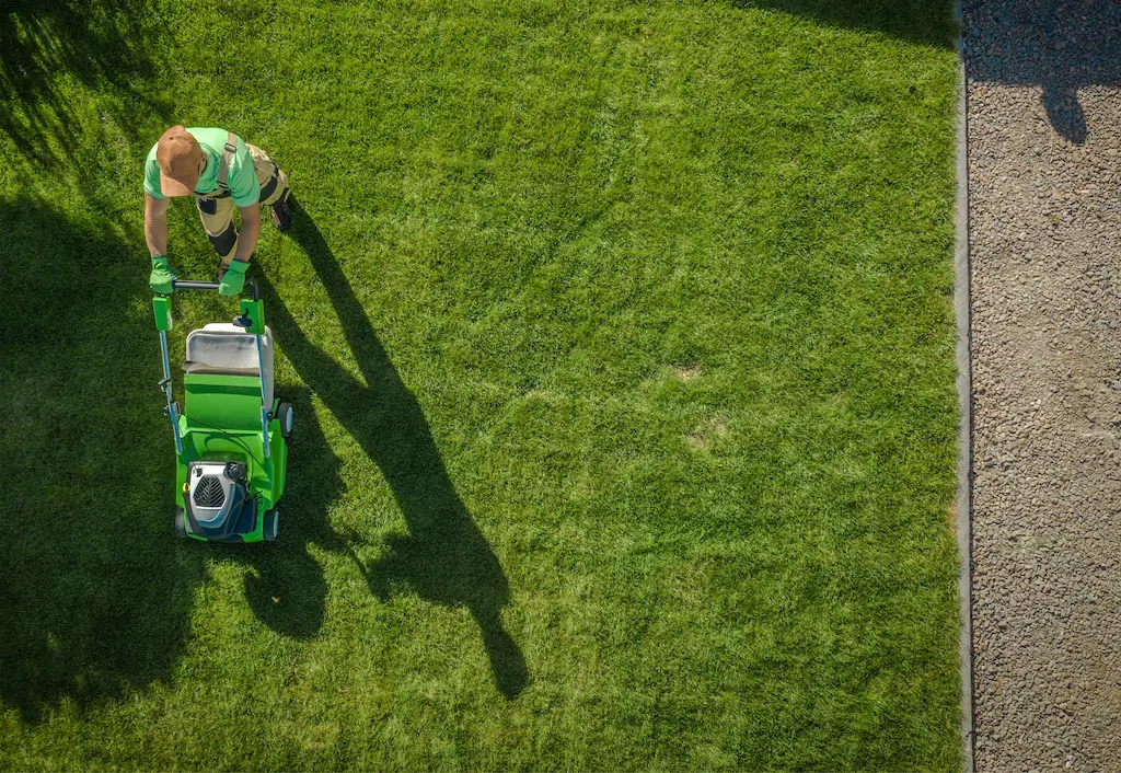 aerial view of perfecly mowed lawn