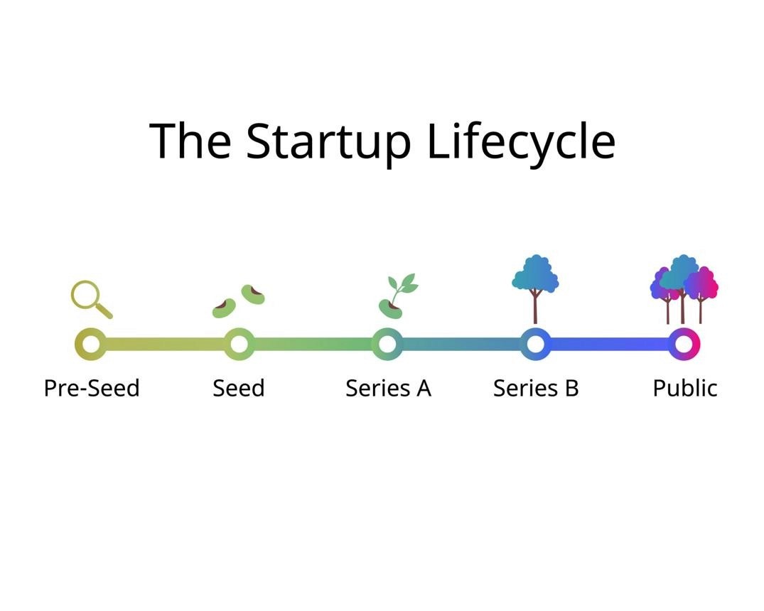 infographic - Startup lifecycle