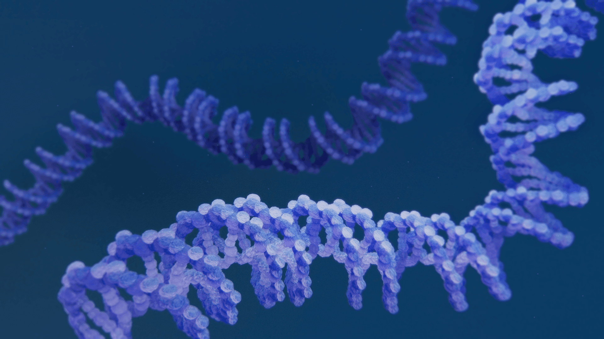 DNA