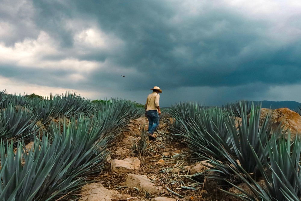 Photo by Renee G. Gudiño