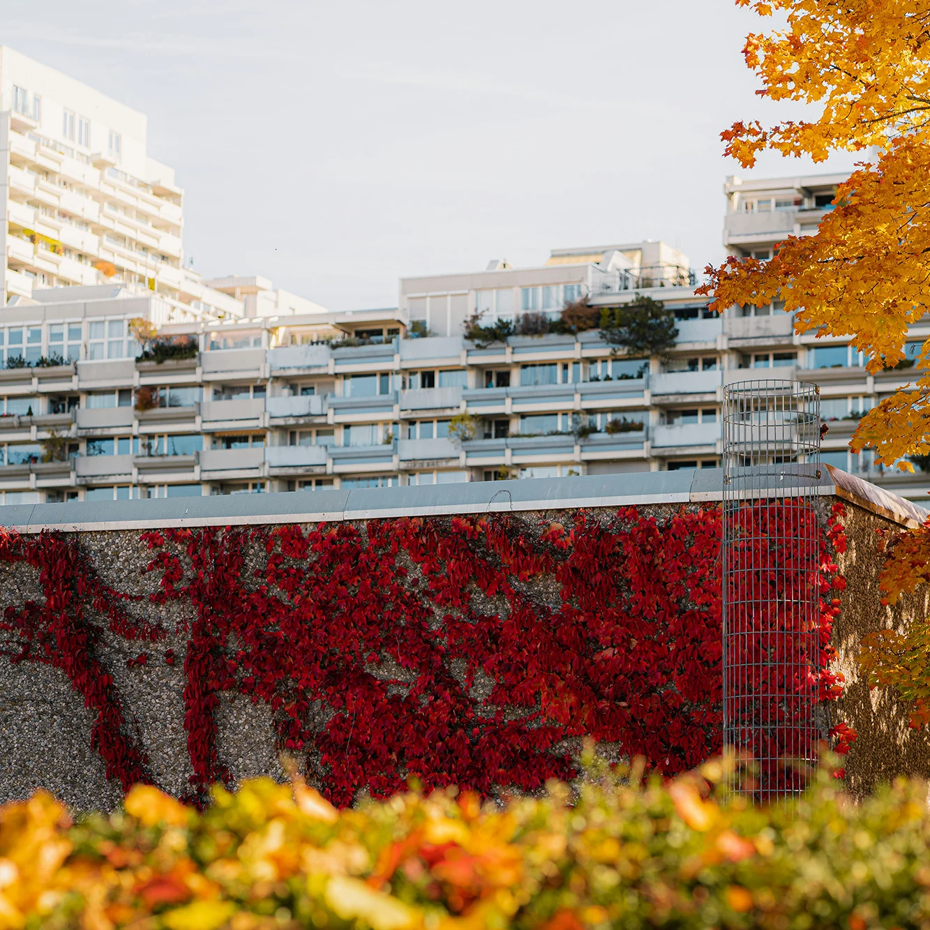 Bild von München