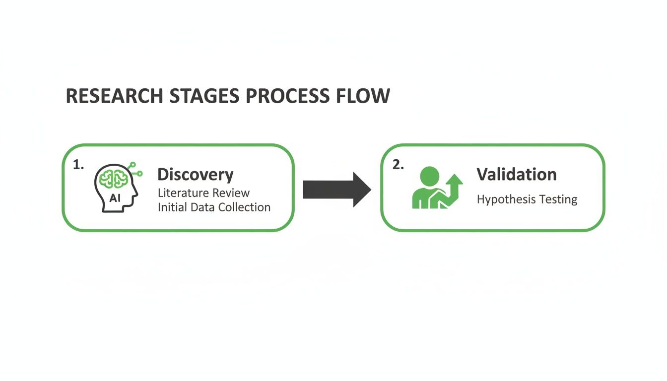 Research stages process flow showing Discovery (literature review, data collection) and Validation (hypothesis testing).