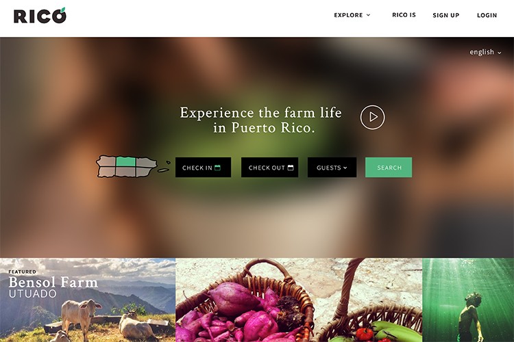 A website screenshot displays a navigation bar with options including "EXPLORE," "RICO IS," "SIGN UP," and "LOGIN." A central banner reads "Experience the farm life in Puerto Rico." Below, a search bar and buttons labeled "CHECK IN," "CHECK OUT," "GUESTS," and "SEARCH" are visible. The bottom of the page shows images of farm scenes: a cow and a person in a body of water.