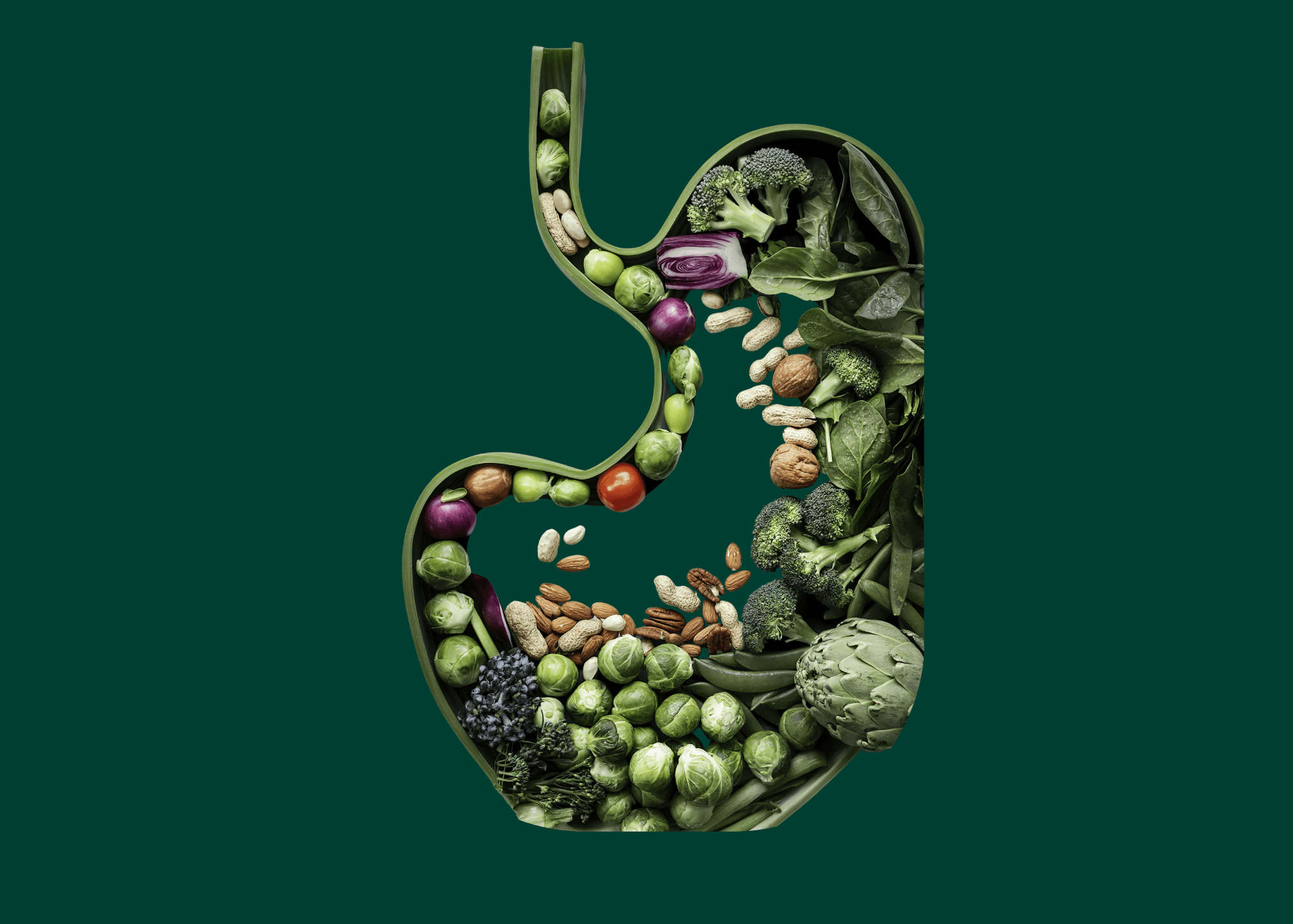 Why Your Gut Needs a Personalized Map, Not Just a Probiotic | Berry Street 