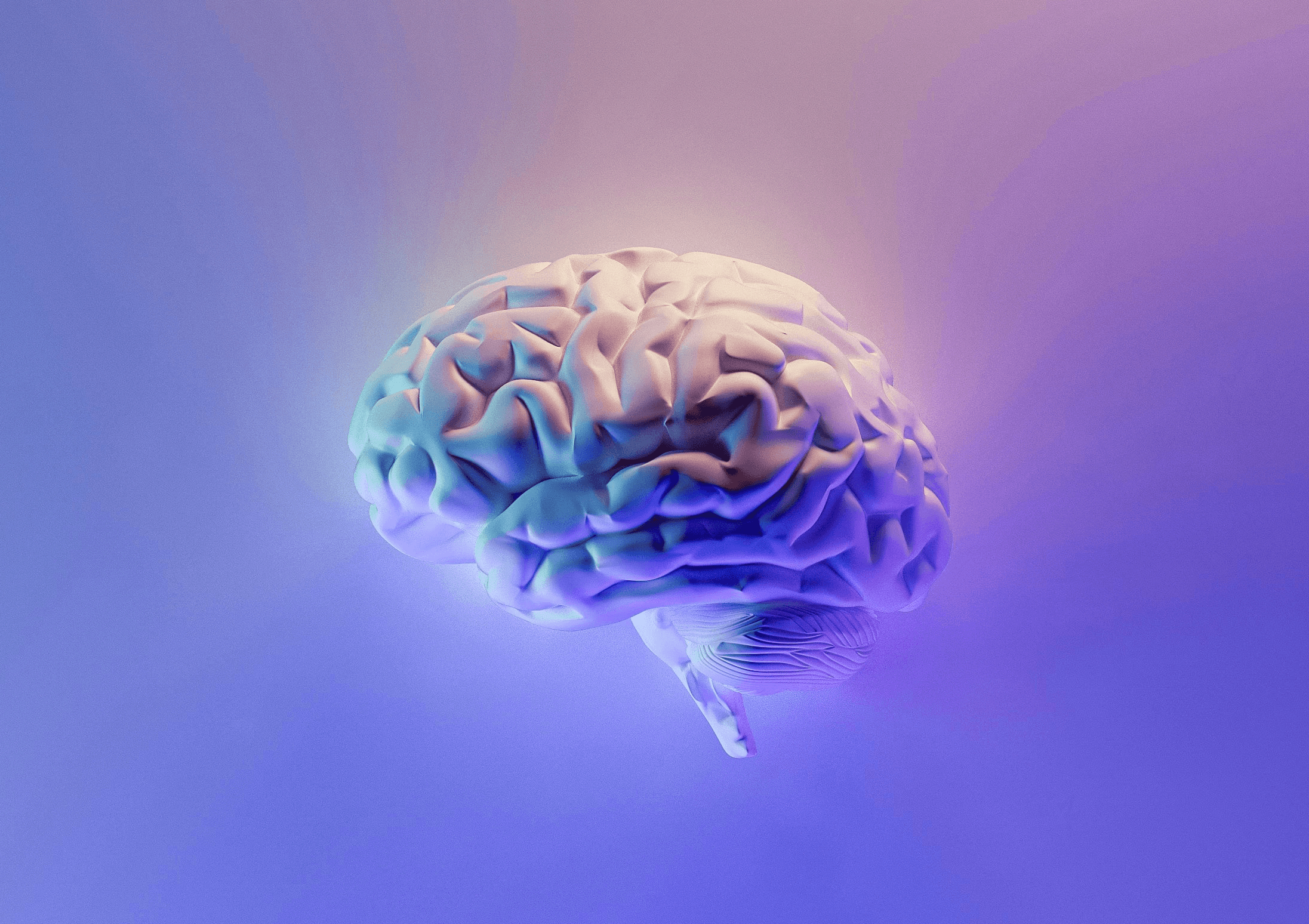 blue and green peacock feather