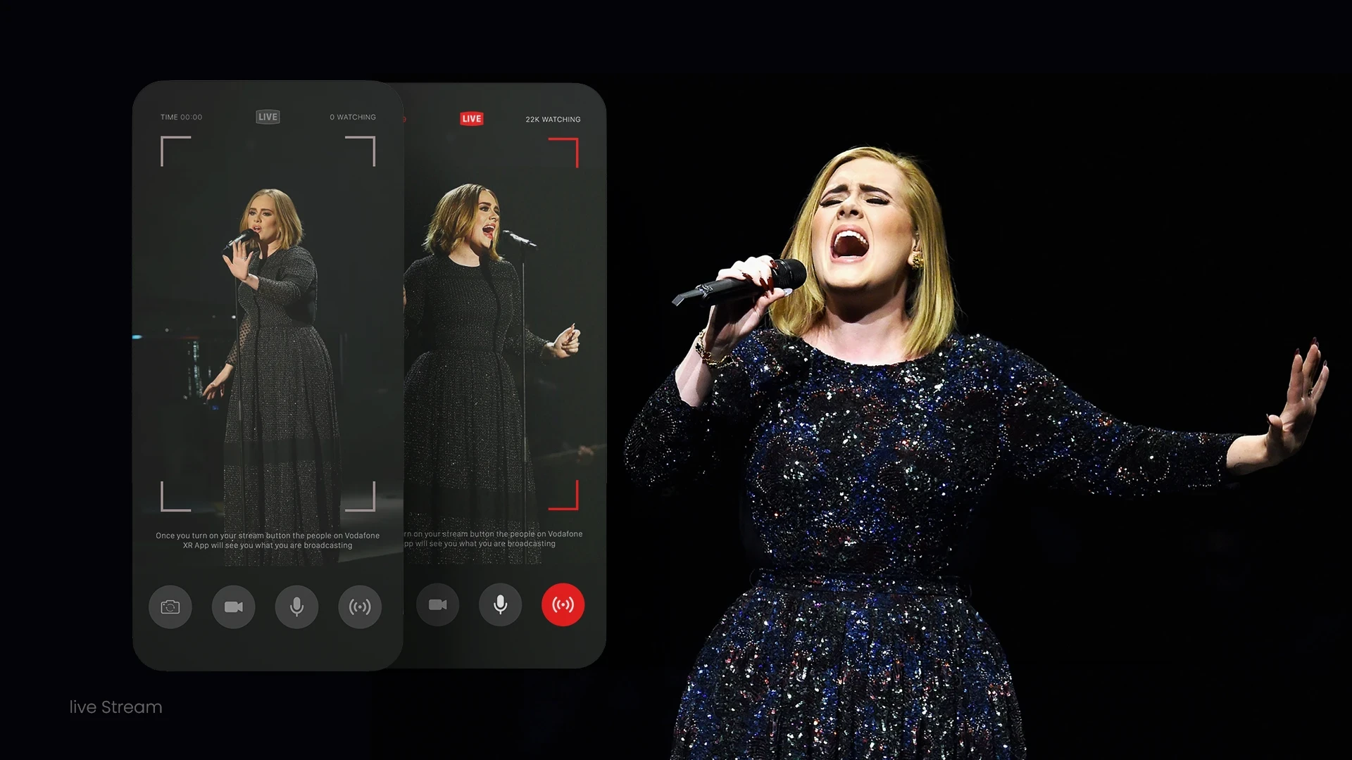 Large Project Gallery Image #1