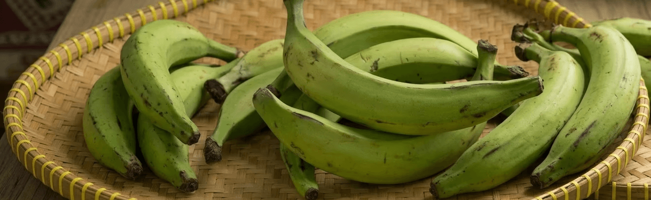 Grüne Bananen im Korb als Symbol für MW Interiors Qualitätsversprechen – wir liefern keine grünen Bananen, sondern ausgereifte und zuverlässige Objekteinrichtung