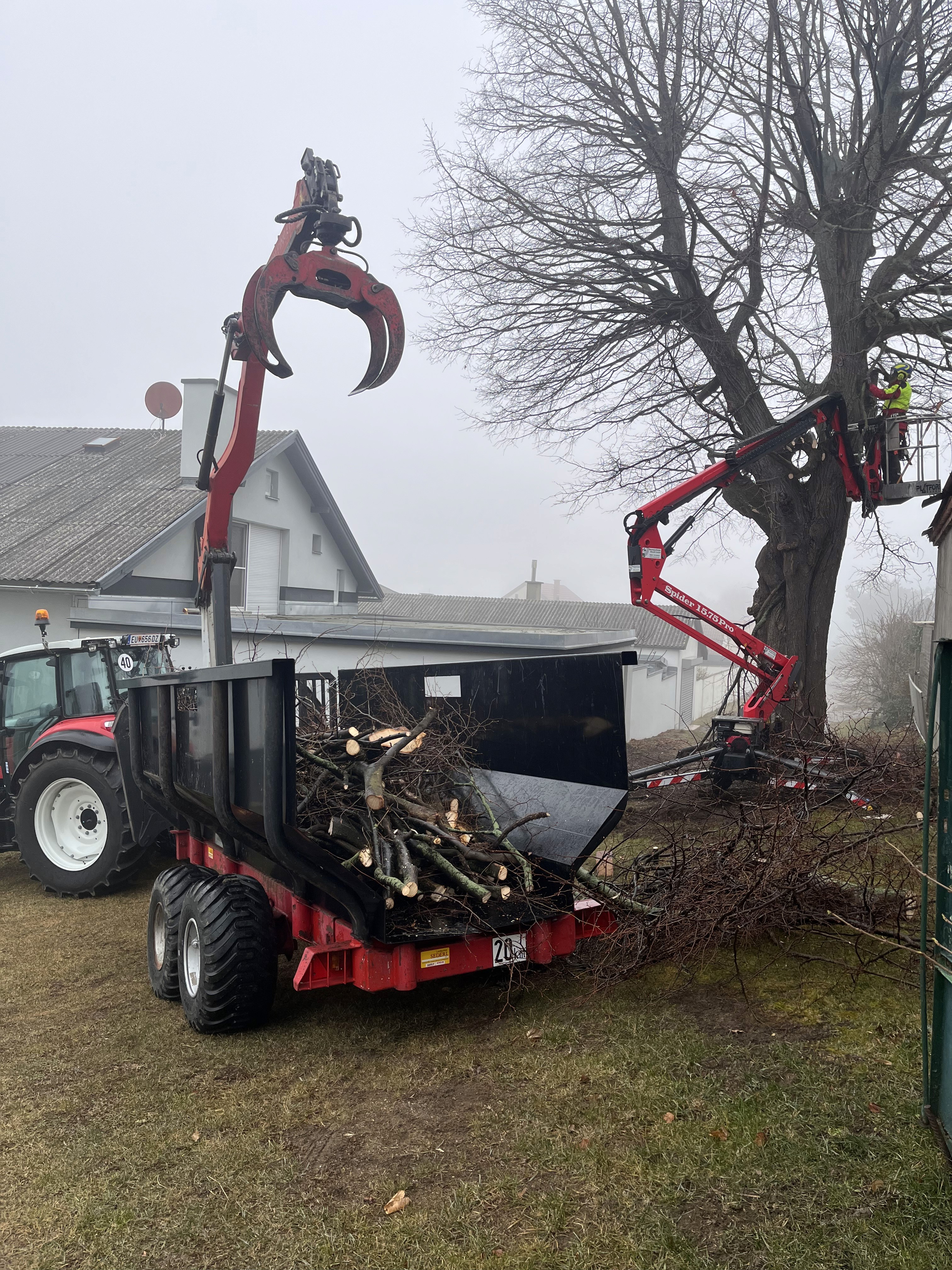 Baumfällungen & Baumabtragungen – Berger Woodworks