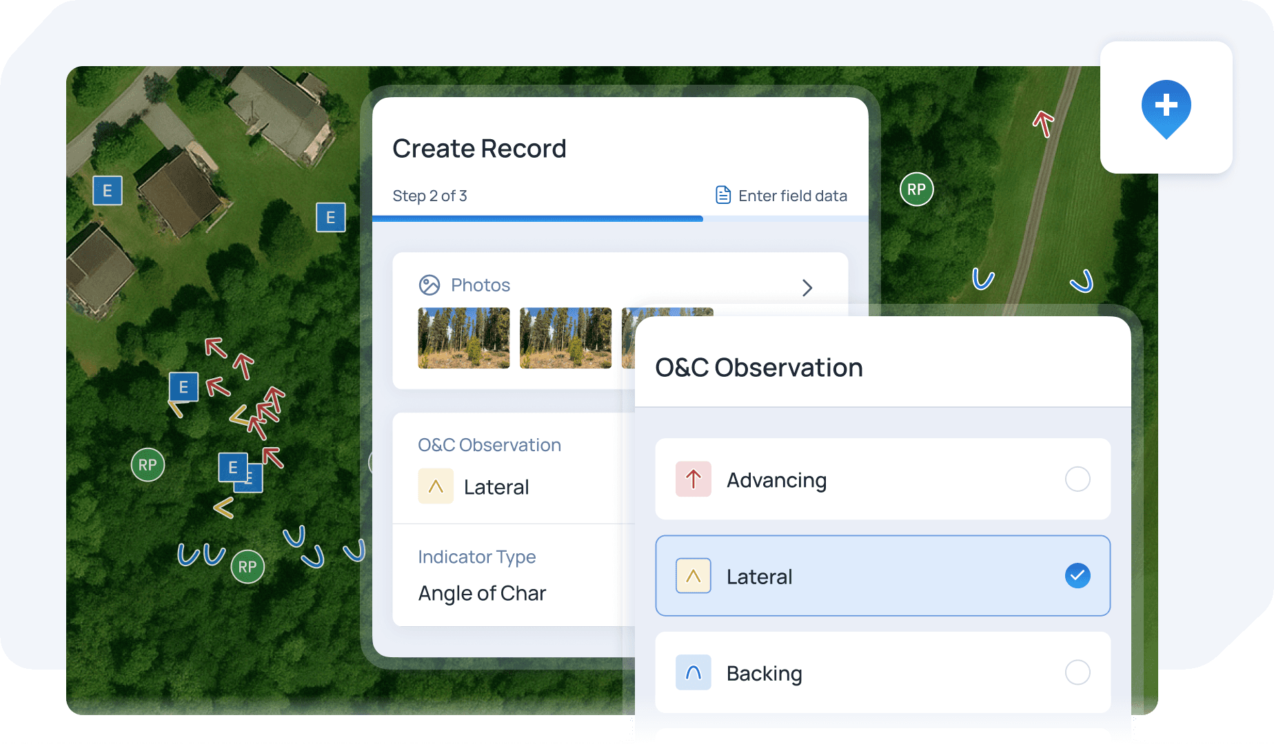 XML data snippet demonstrating environmental data for a pine forest area, with coordinates and description details included.