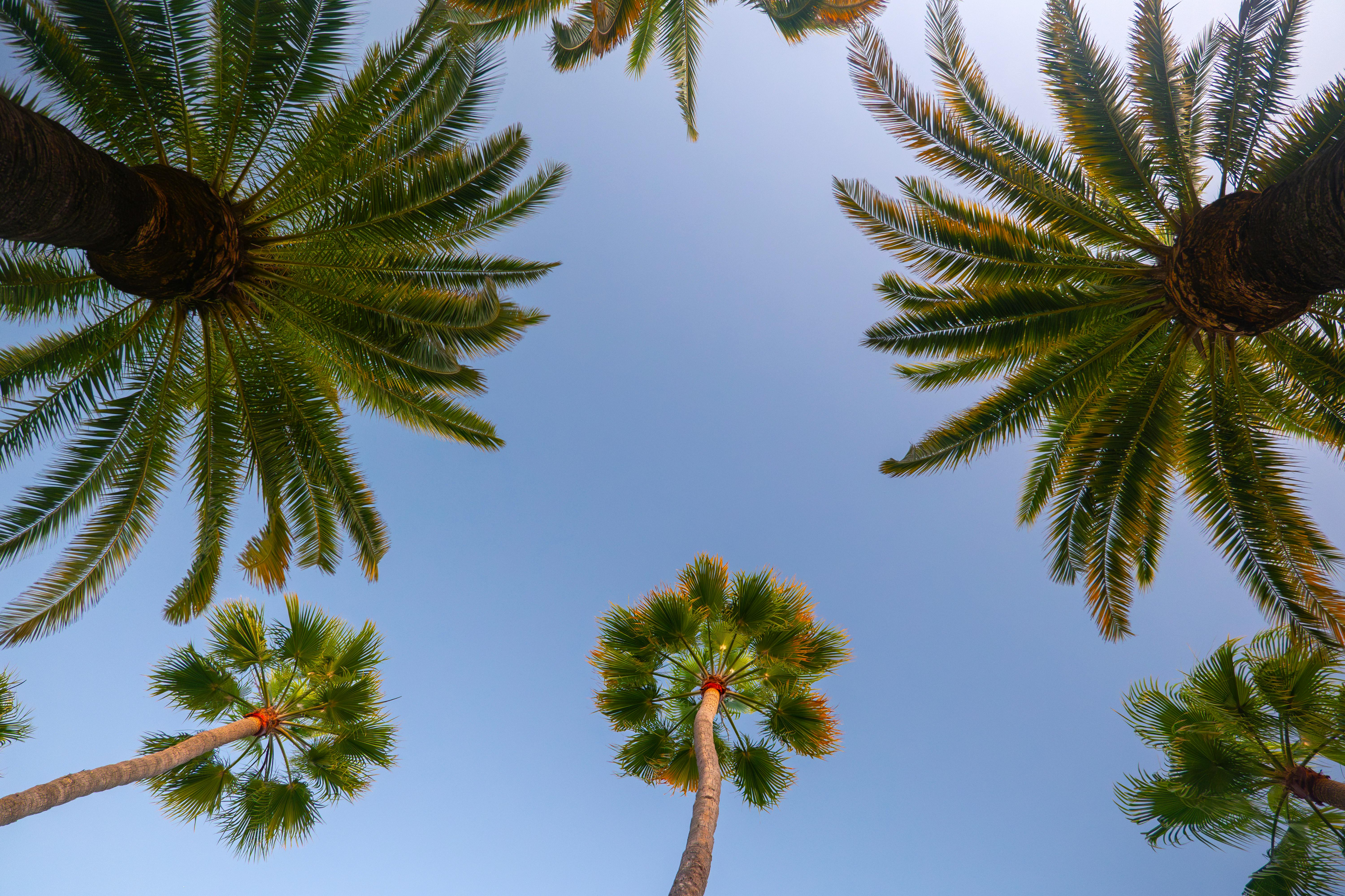 Destination Slider Image