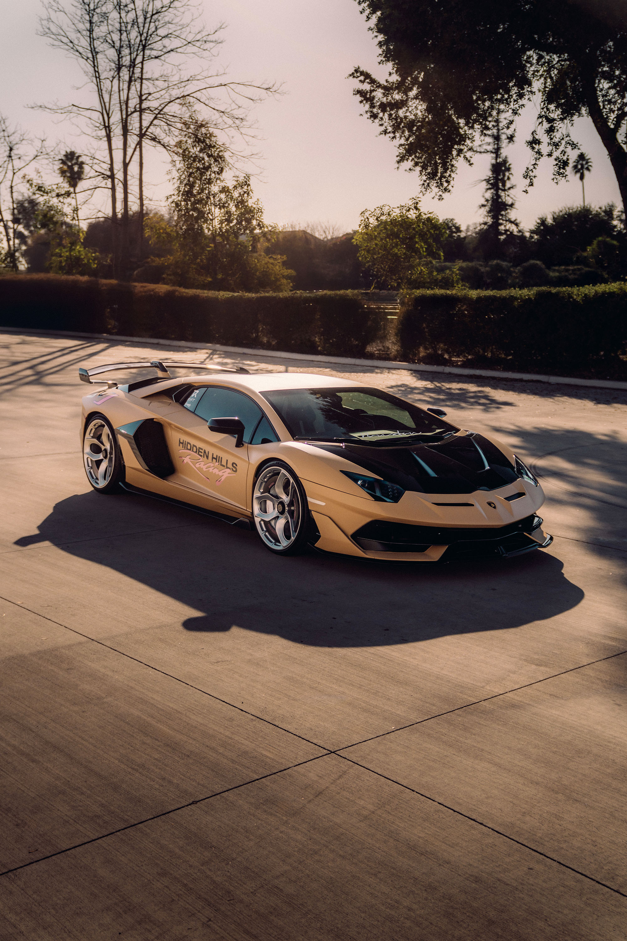 INOZETEK Zuumy Frozen Matte Sand Dynamic PPF Lamborghini Aventador SVJ