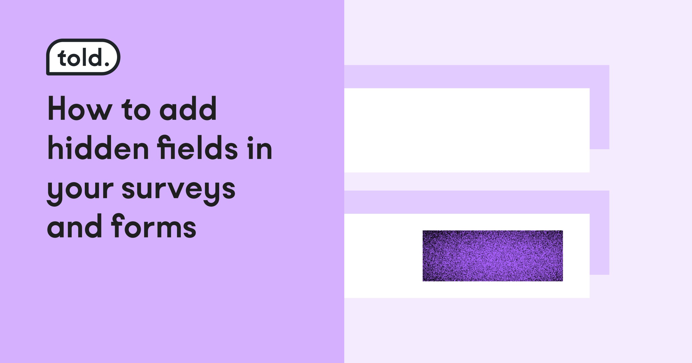 How to add hidden fields in your surveys and forms - Told blog