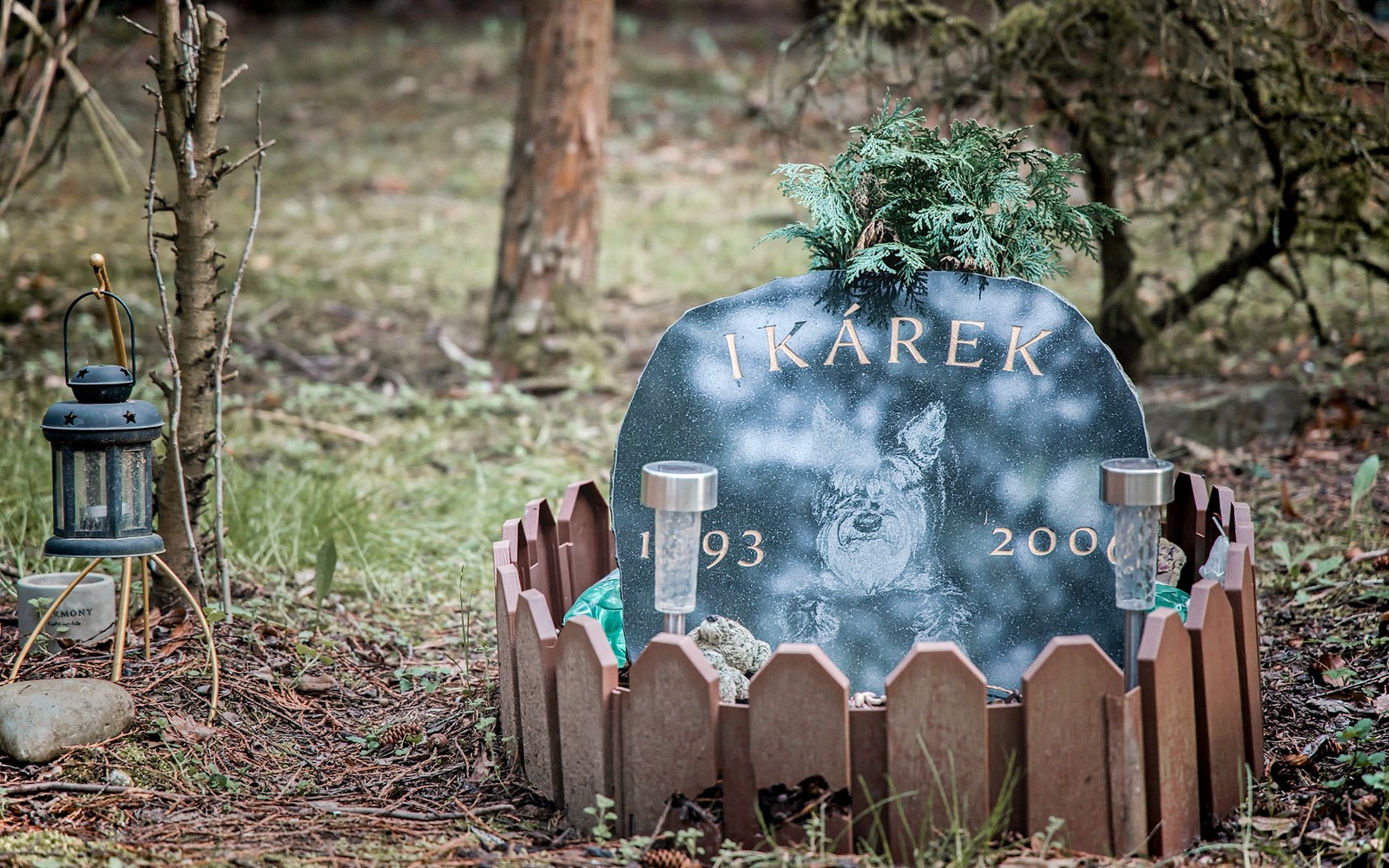 布拉格博尼采精神病医院墓园中的墓碑，旁边有一盏灯笼。