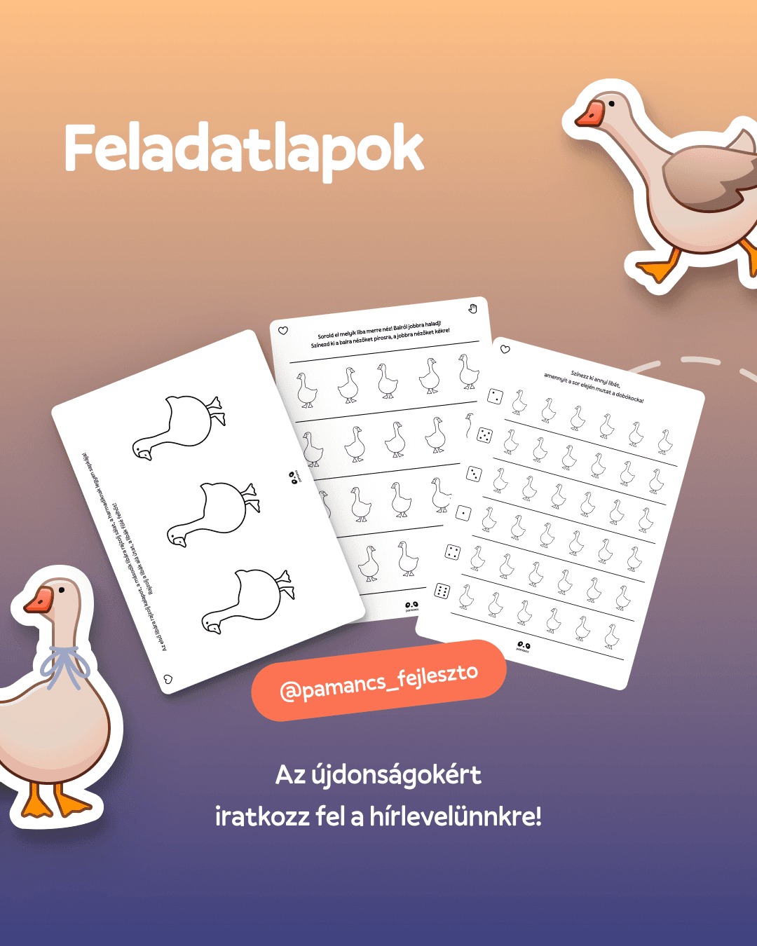libás feladatlapok 4