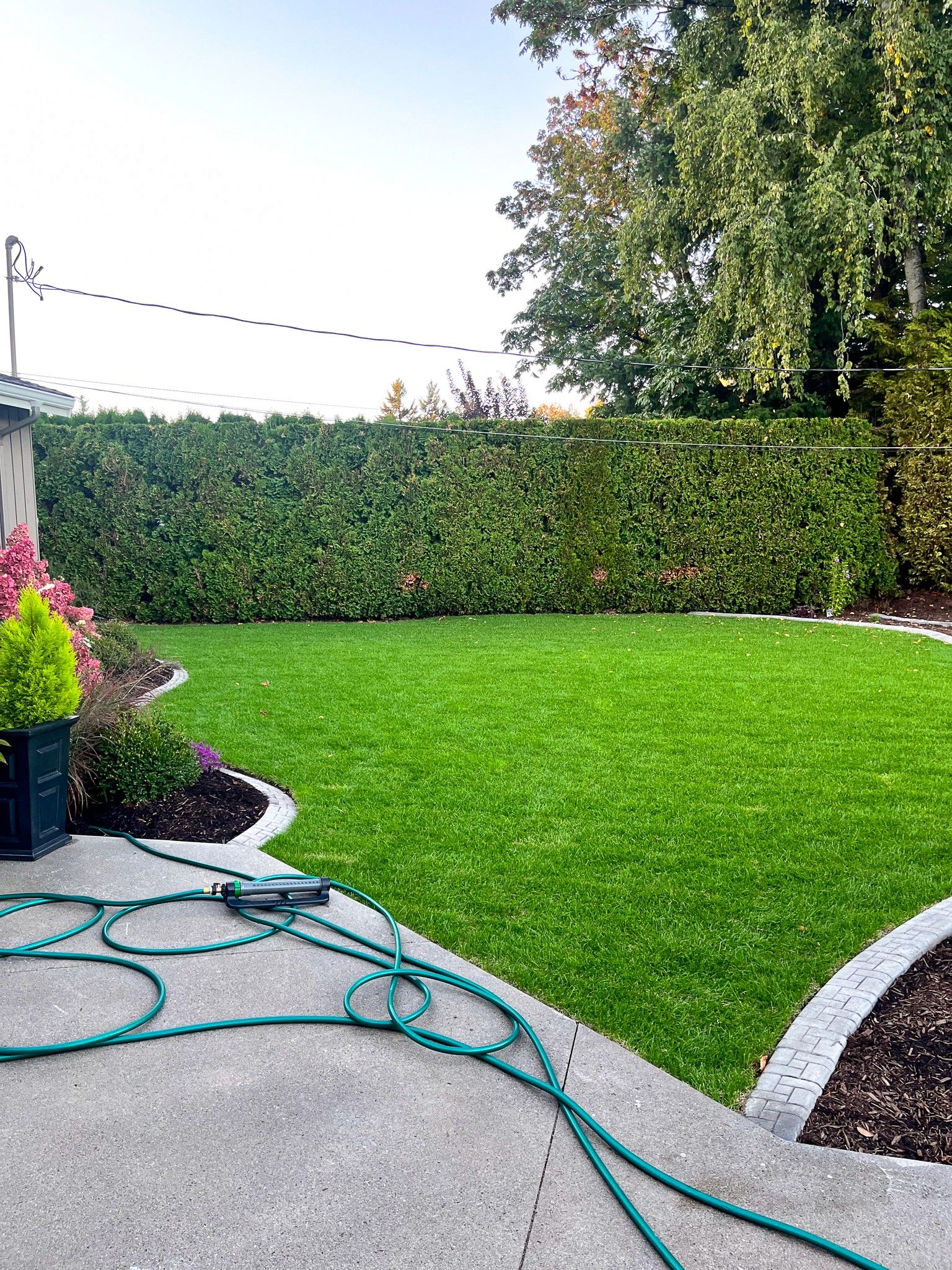 Chilliwack landscaping property maintinence