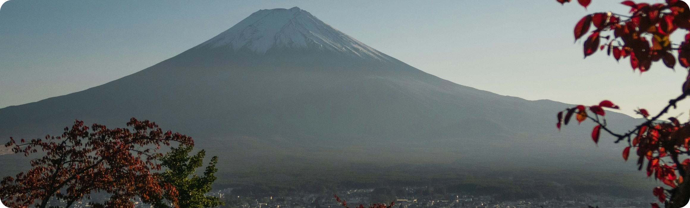 Mt. Fuji