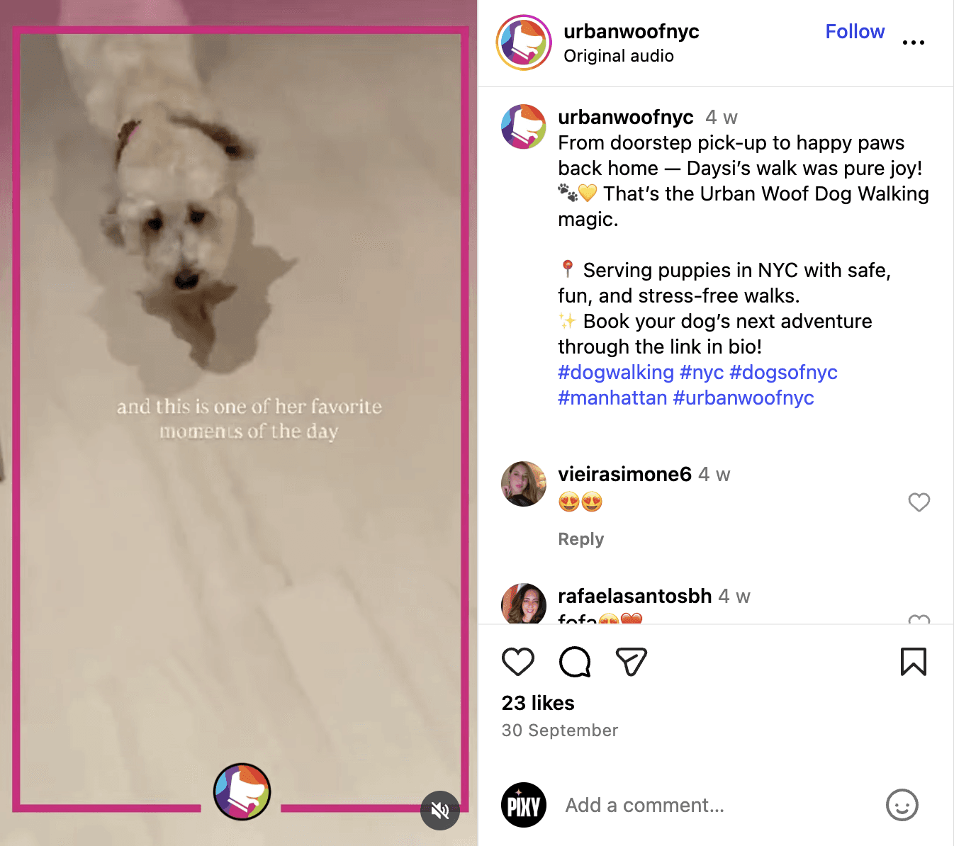 POV - post idea for small business (pet groomers edition)