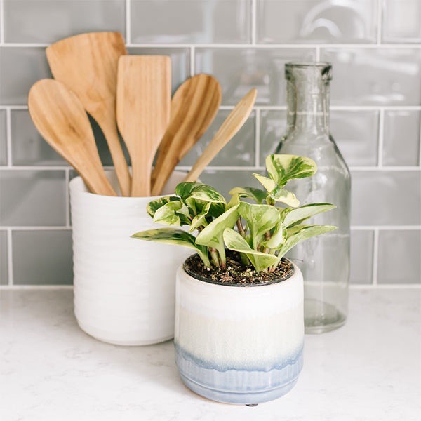 quartz countertop in kitchen