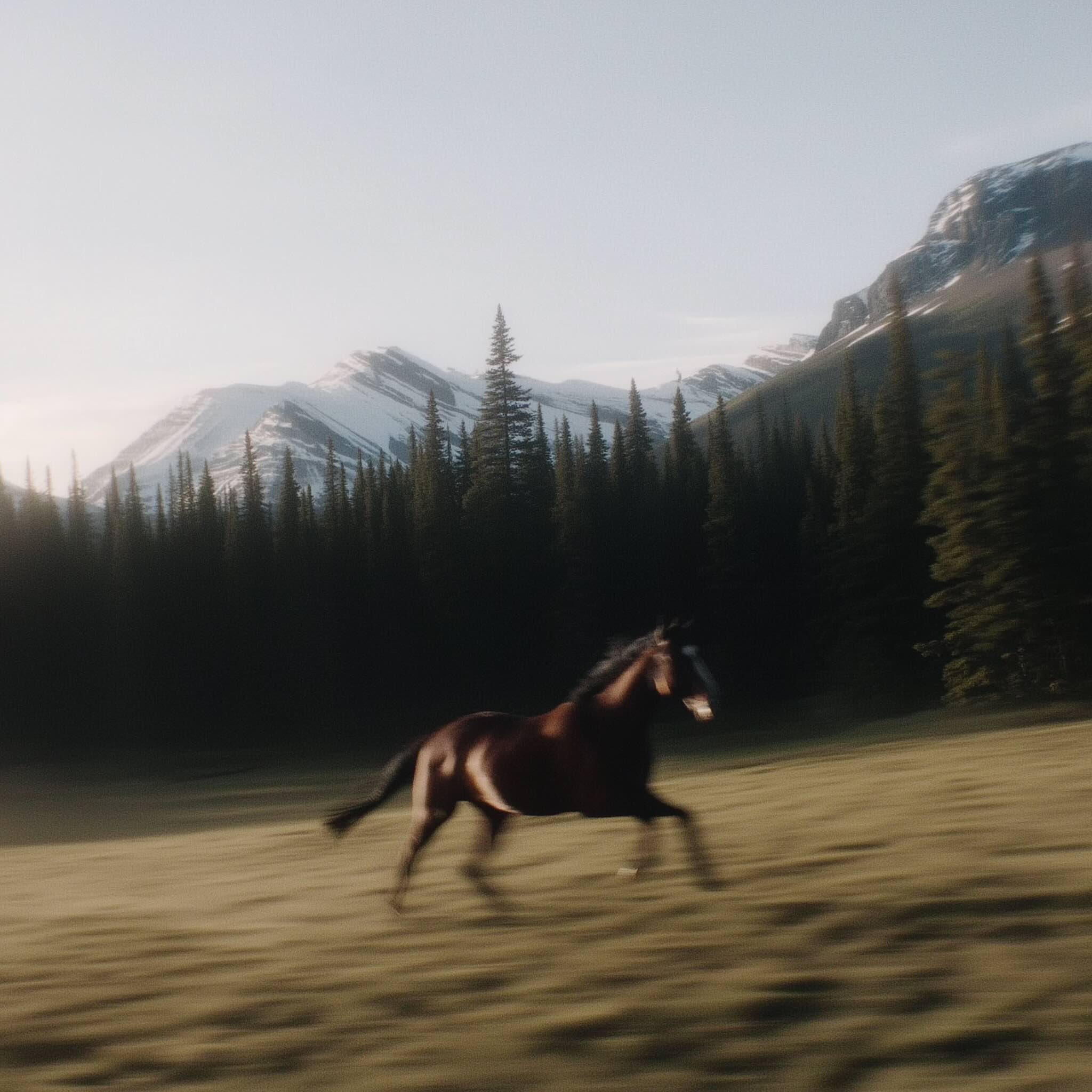 Modern timber-clad residence with horizontal wood facade and geometric volumes set on manicured lawn