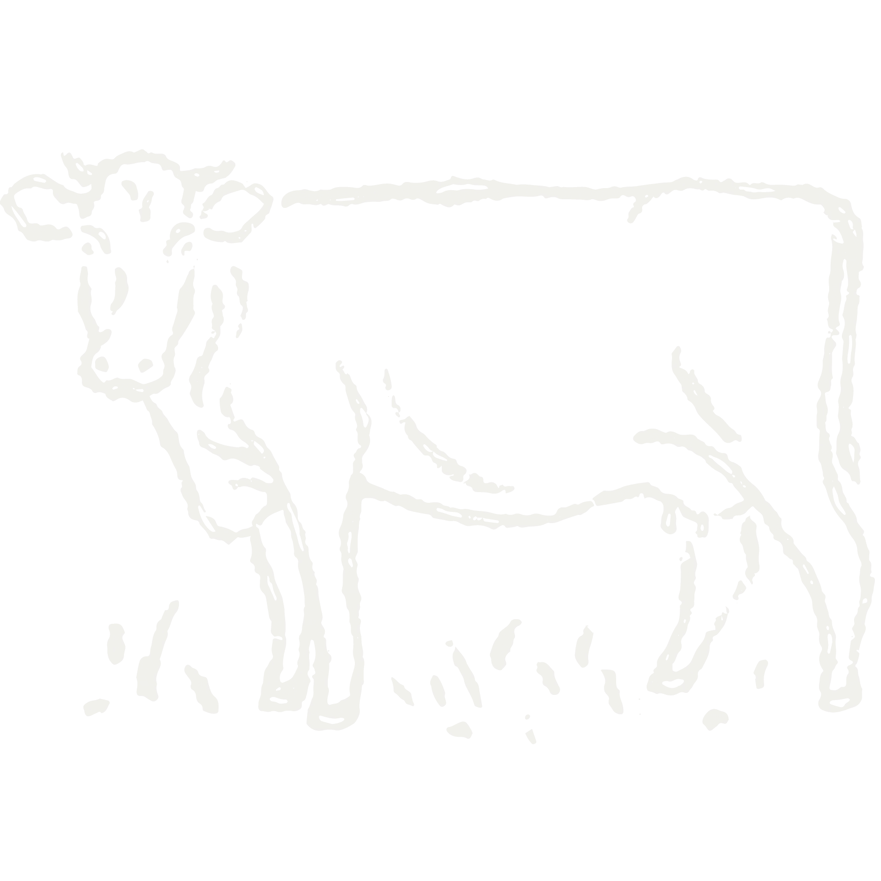 illustration of a party emoji