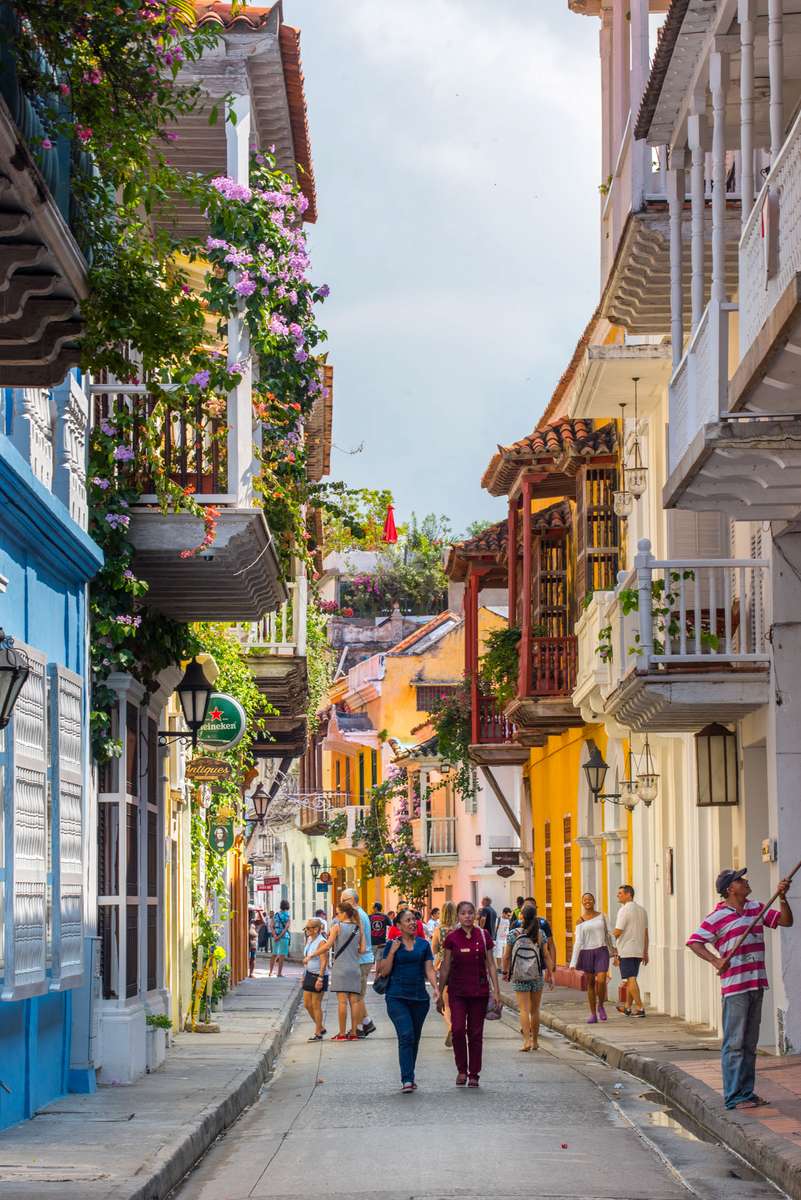 Tourists walk along a narrow cobblestone street lined with white and blue buildings decorated with pink flowers.