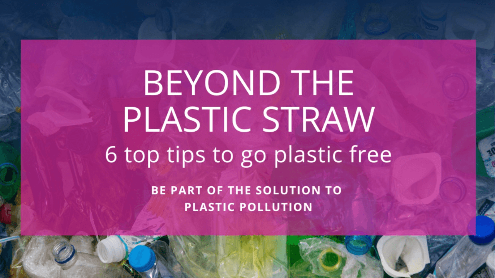 Beyond the plastic straw – top 6 tips for your business to participate in Plastic Free July