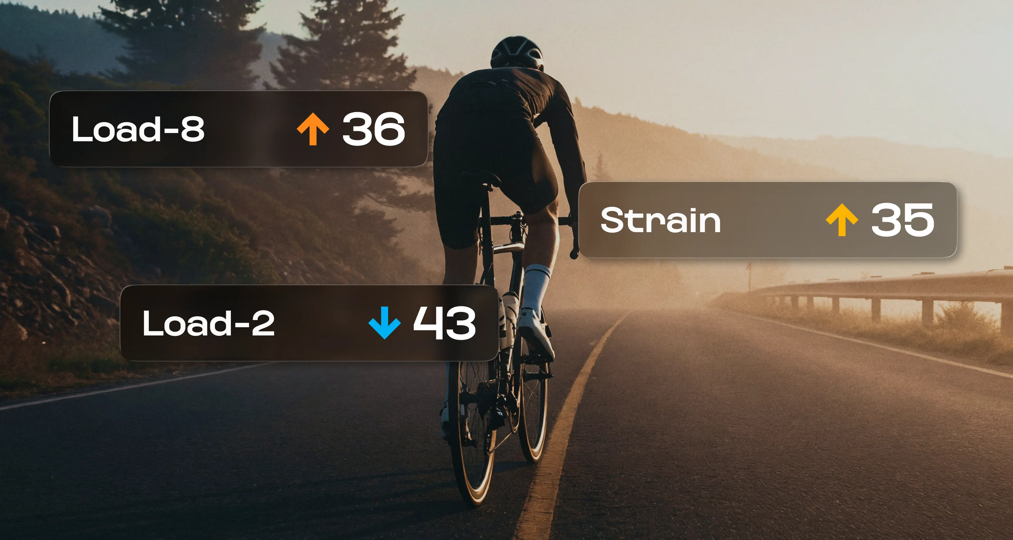 Introducing Vekta Load and Strain