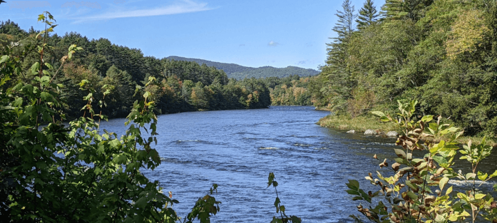 River landscape