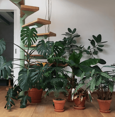 Casual lifestyle shot capturing everyday moments.