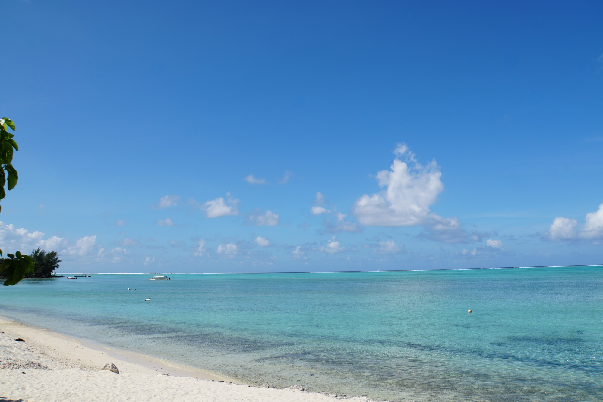a street lined with stone buildings next to a lush green forest