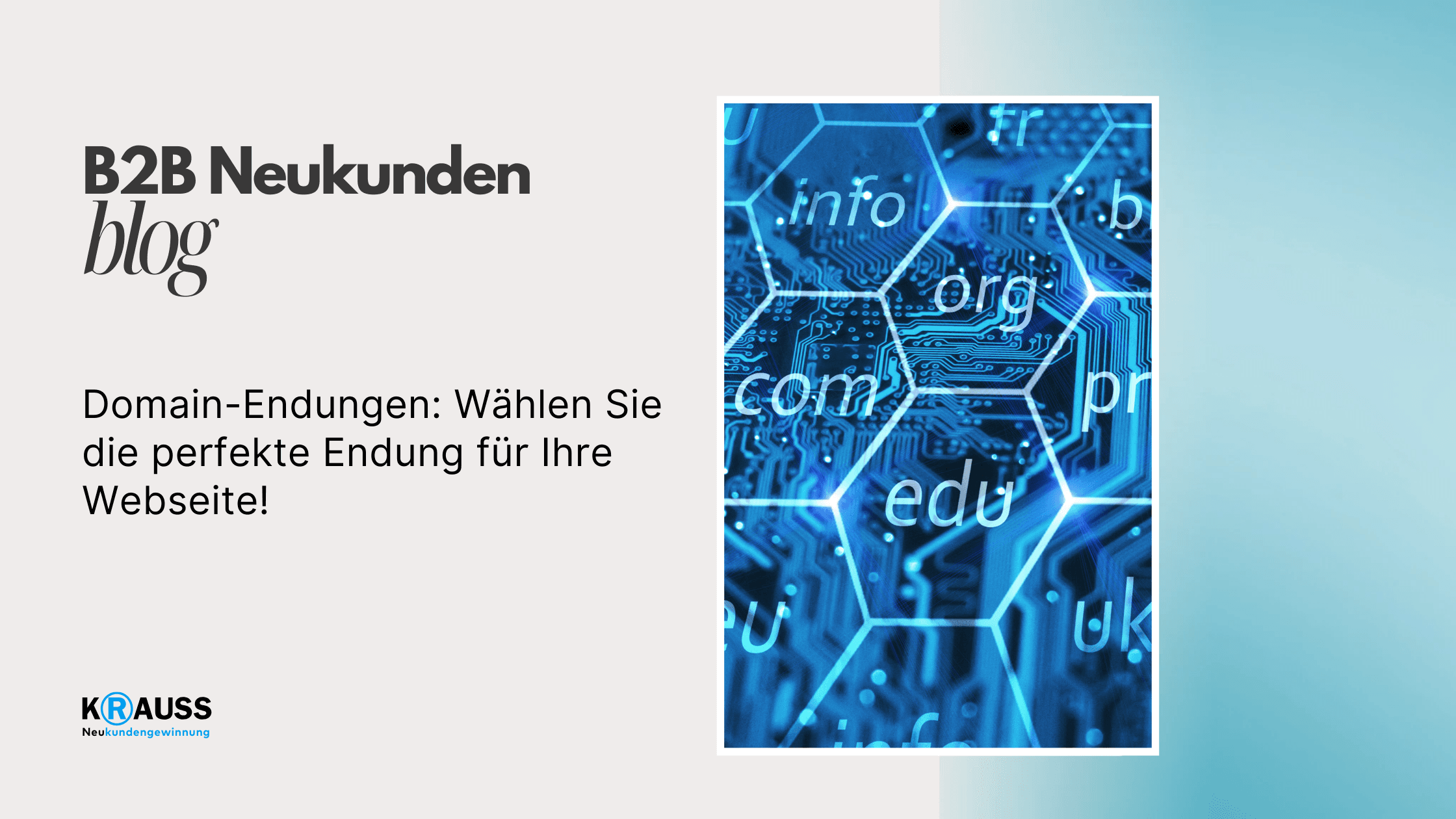 Domain-Endungen: Wählen Sie die perfekte Endung für Ihre Webseite!