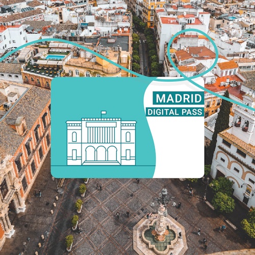 俯瞰城市的画面上覆盖着“马德里数字通行证”卡片插图，上面有一座风格化的建筑。