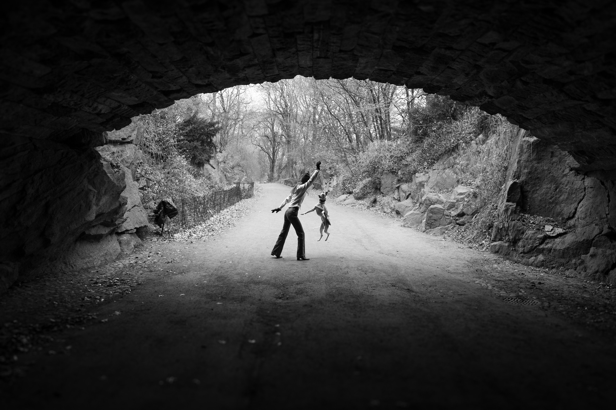 black-and-white-pet-portrait-dog-walking-central-park-new-york