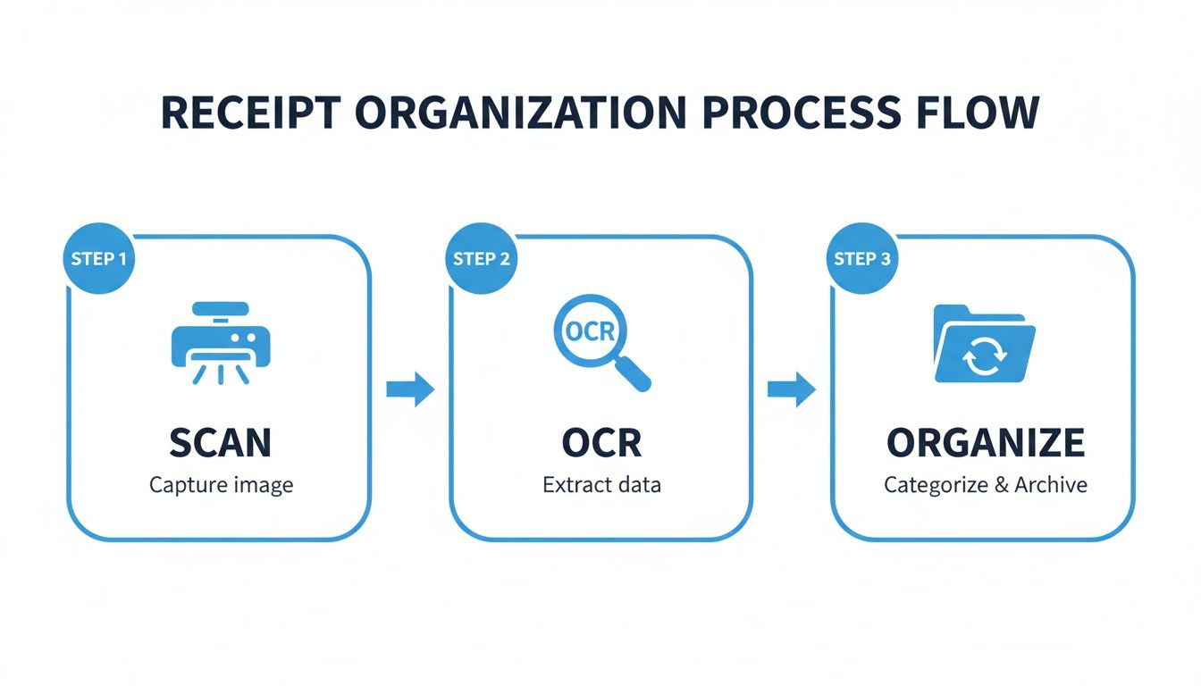 A three-step receipt organization process flow: scan, OCR for data extraction, and organize for archiving.