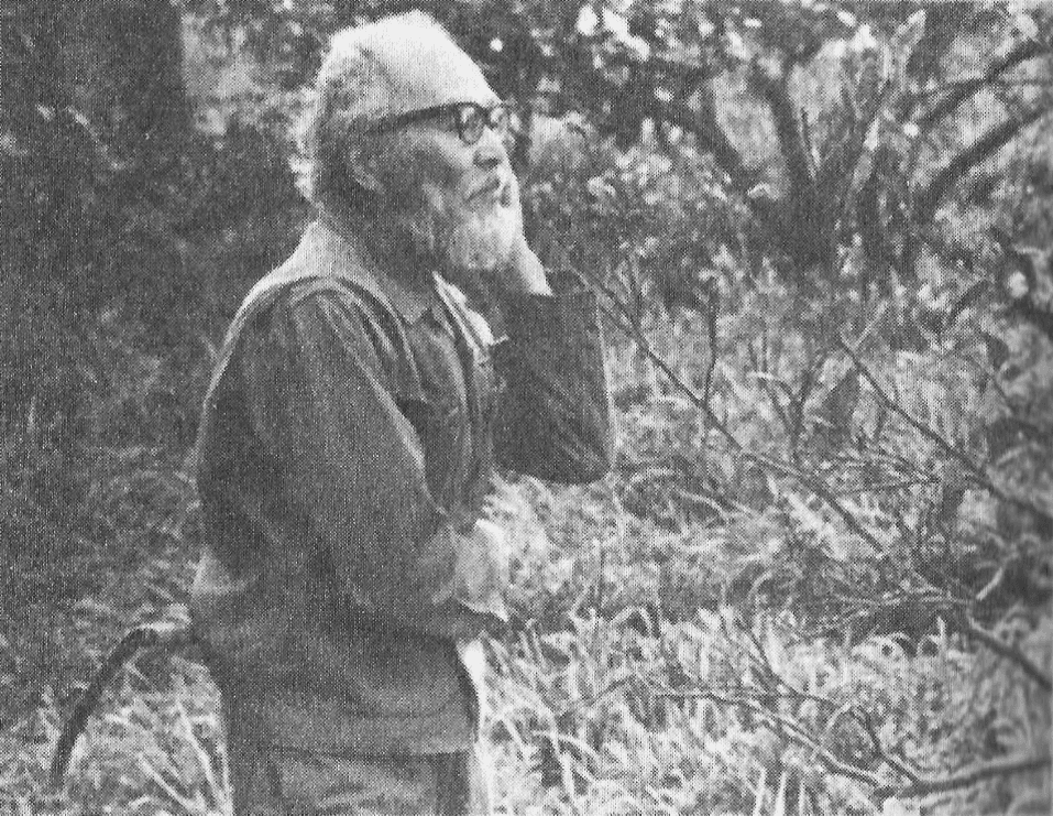 A hand holding an iPhone with Apple's Weather app.