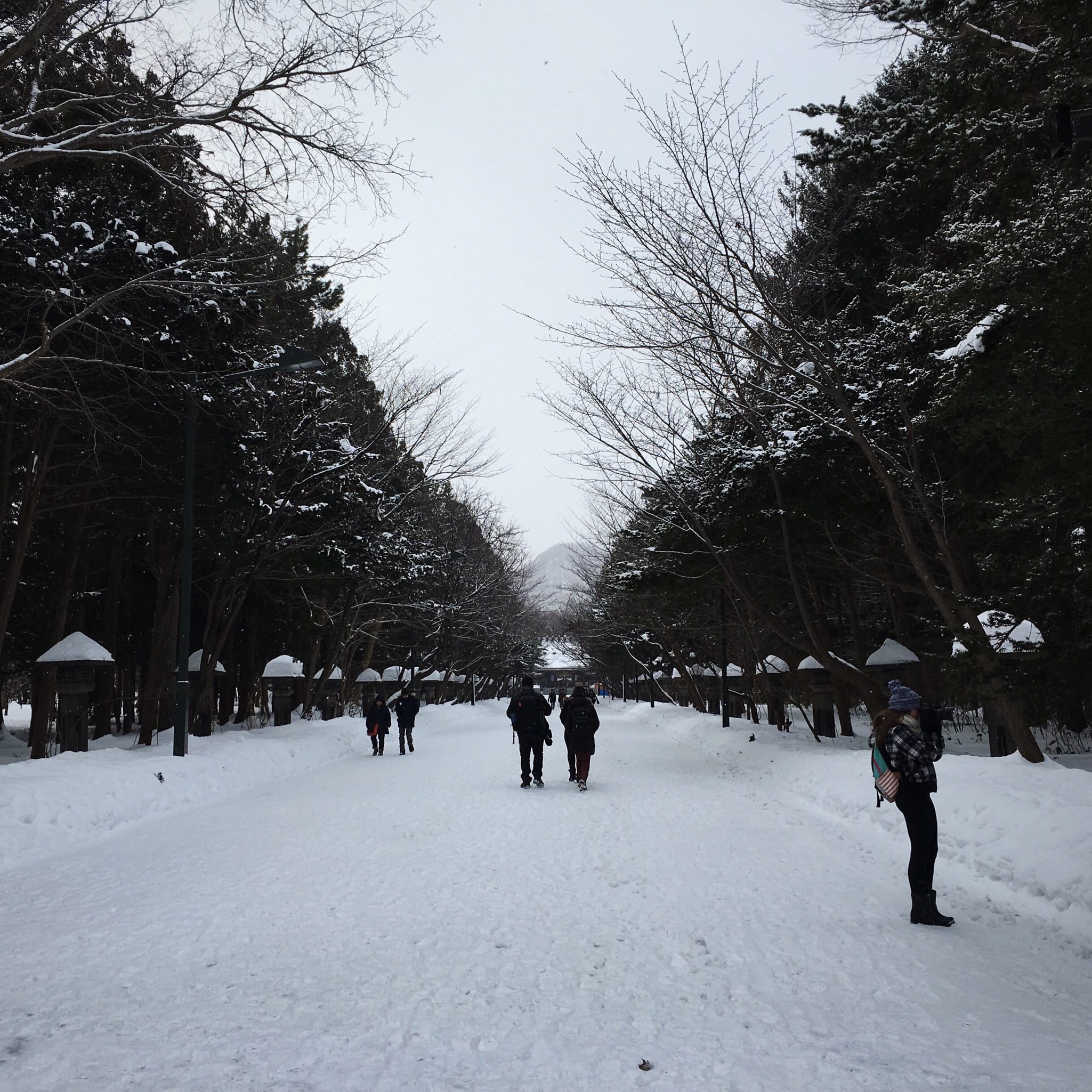 Snowy cinematic shot between trees