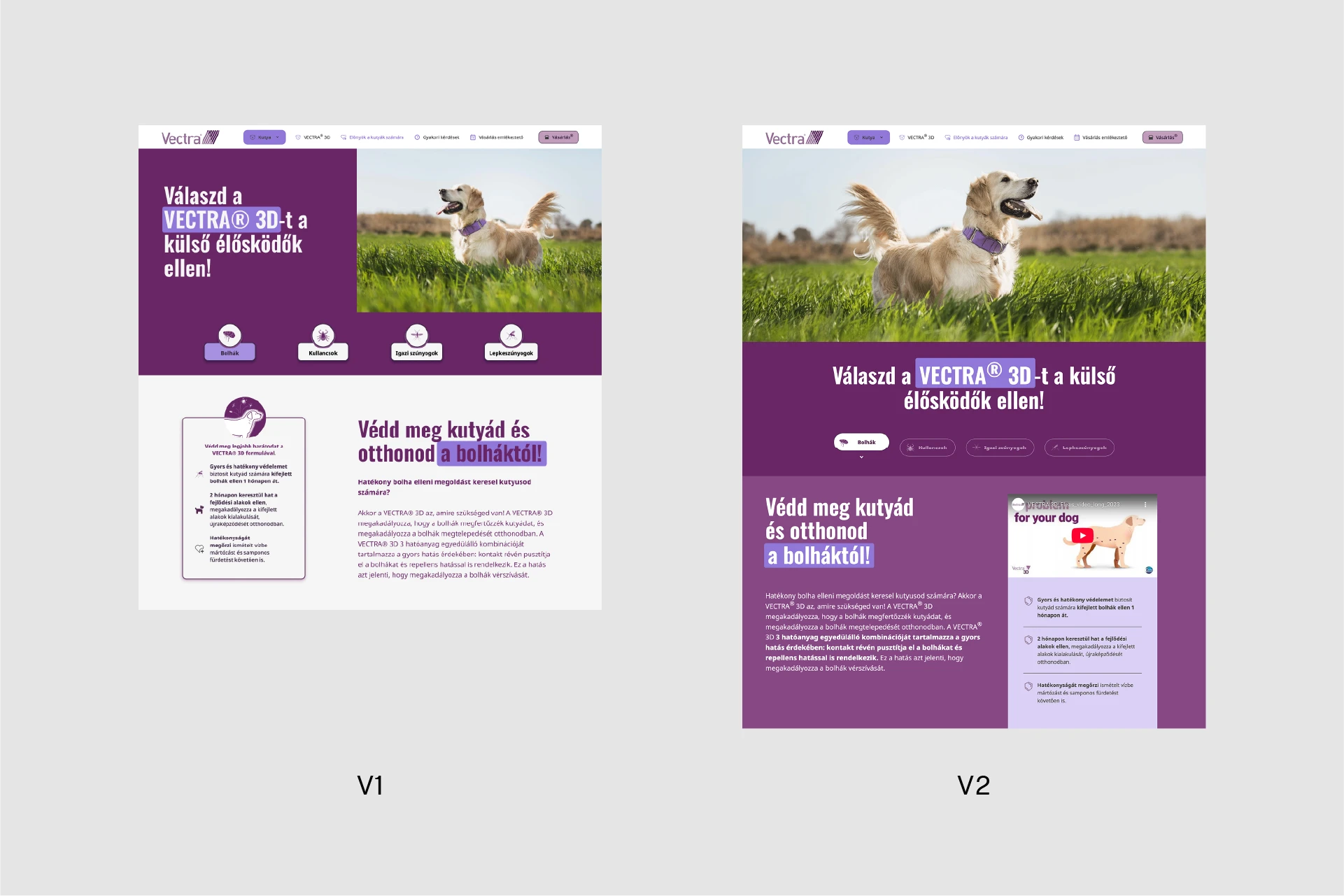 A/B Testing wireframes