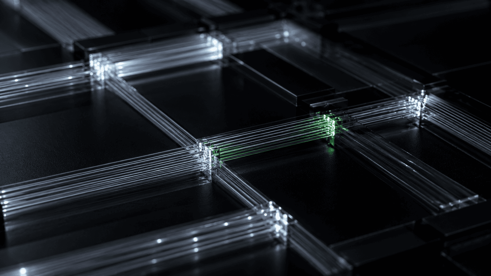 A portrait showing white tech nodes with a green accent on a dark moody board.