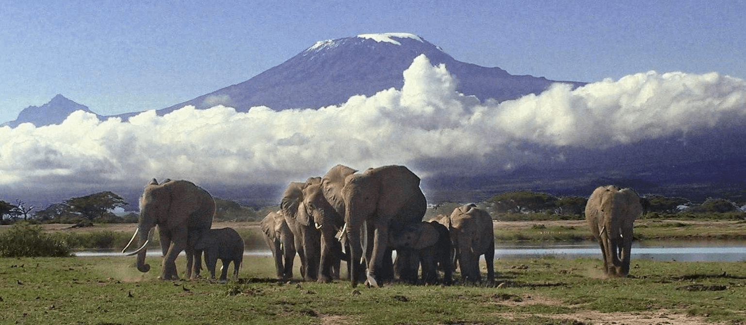 Amboseli Game Drive