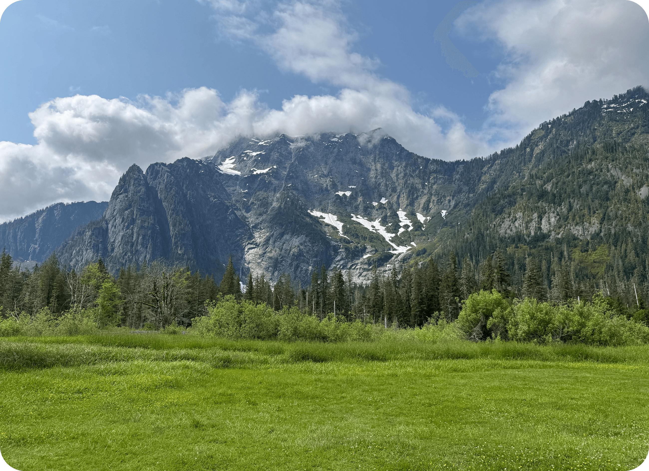 Community members preparing freshly harvested flowers and herbs together.