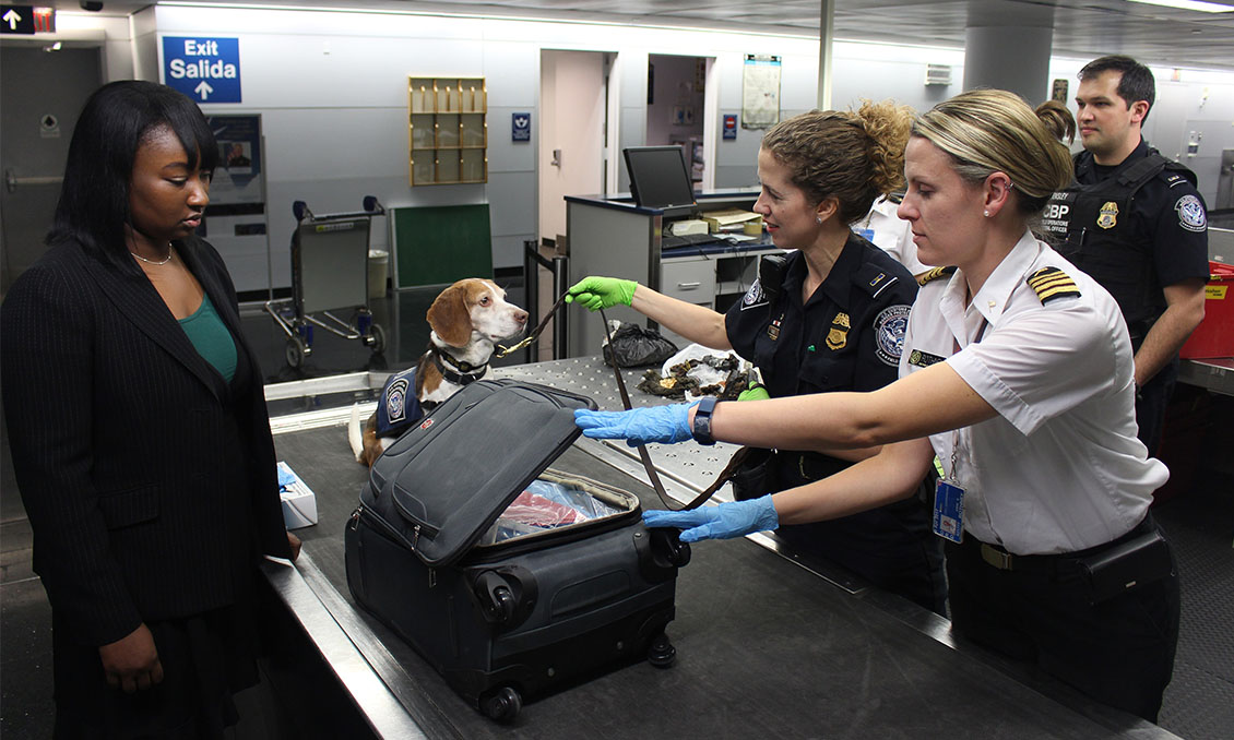 US Customs and Border Protection officers inspecting a suitcase at an airport