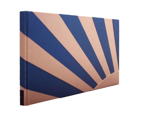 A book cover with white sun like rays on a blue background.