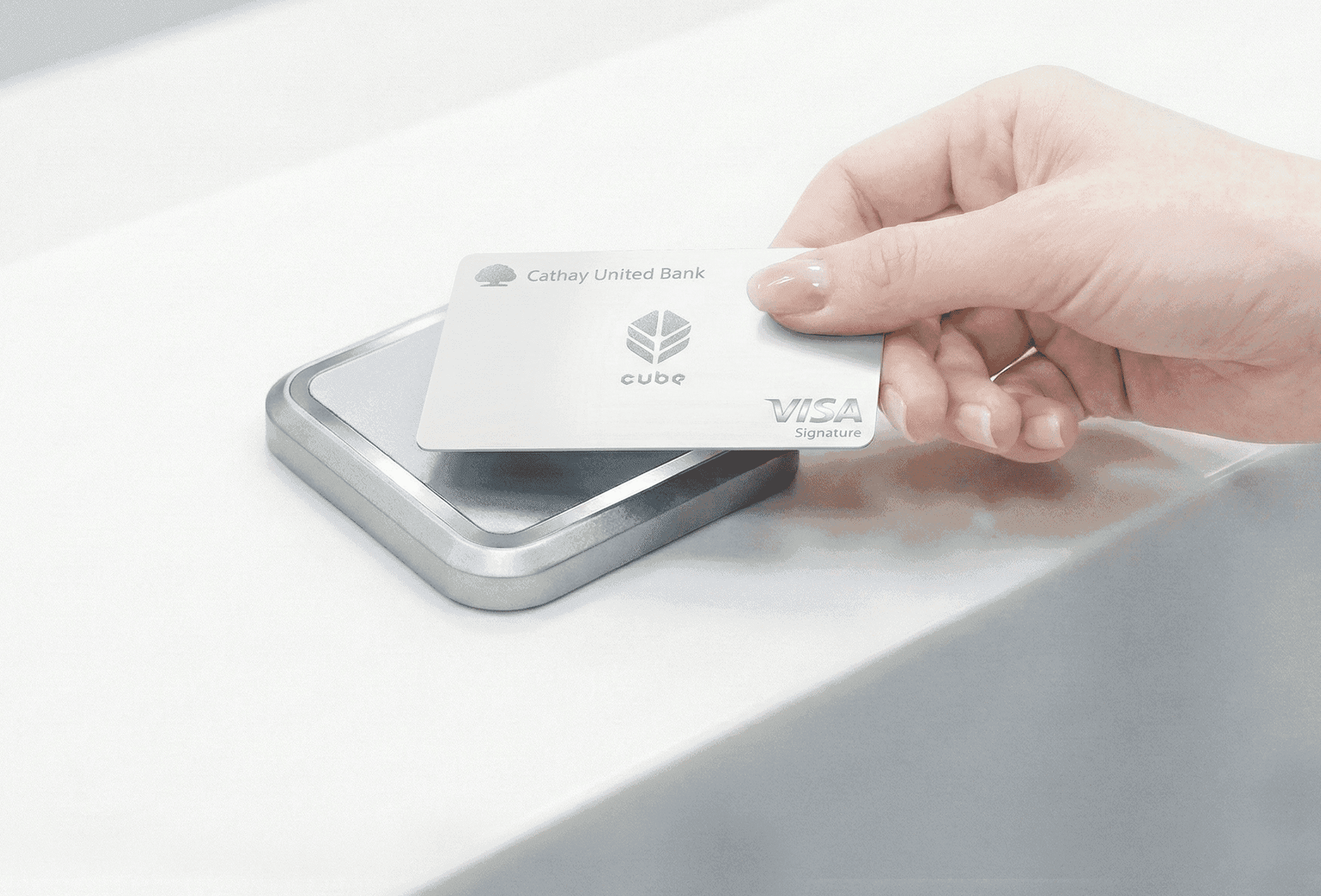 Collection of assorted butterflies displayed neatly.