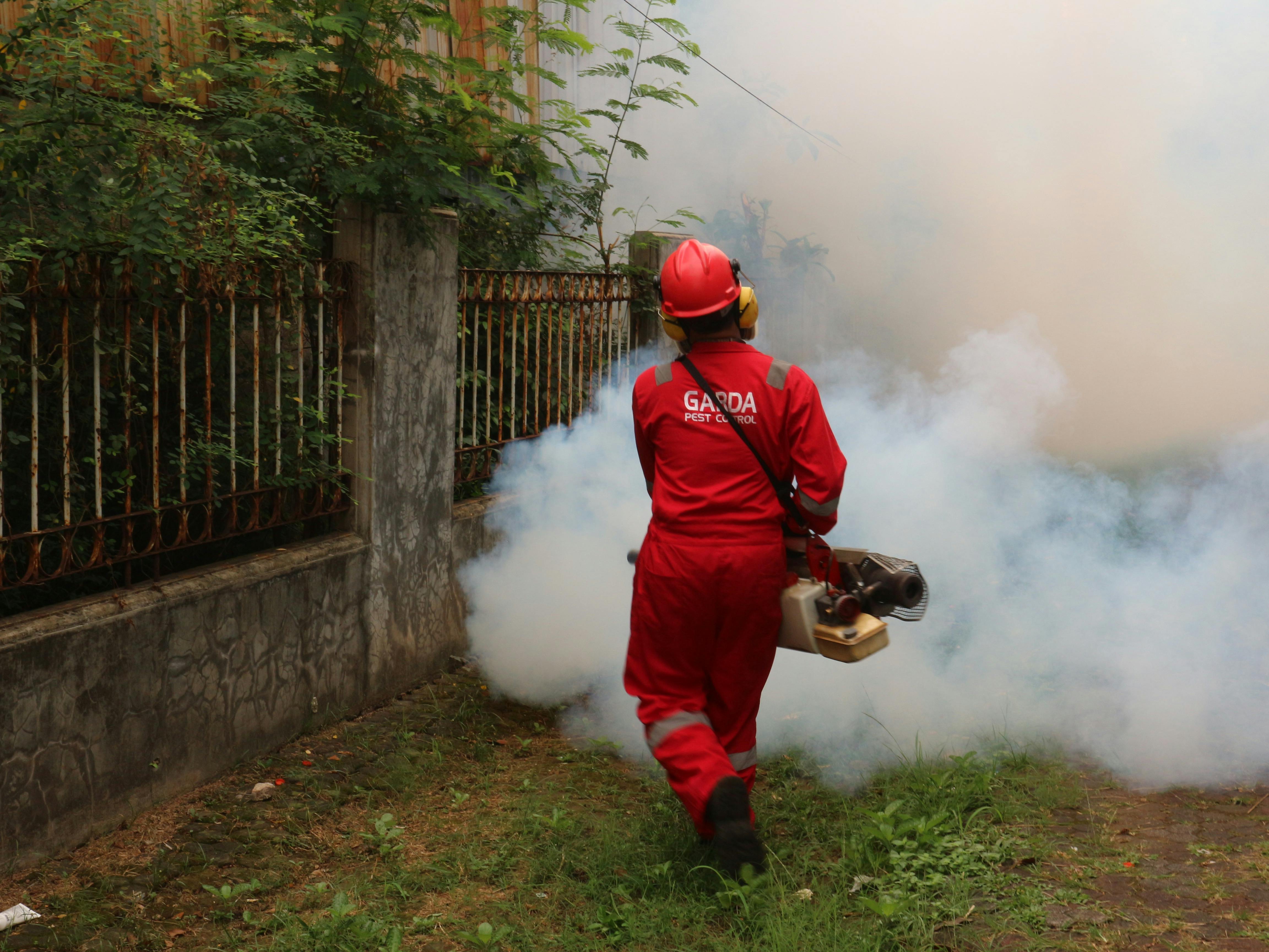 a-pest-control-worker-fogging-in-an-outdoor-space-with-smoke-to-eliminate-pests. - garda-pest-control-indonesia (pexels)